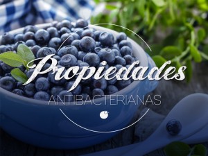 antibacterias2