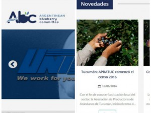ara-news-web