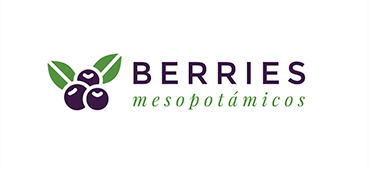 Berries Mesopotamicos