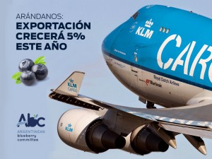 crecera-export