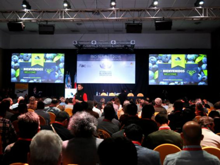 ibo-2016