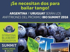 ibo2016