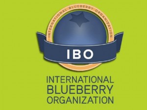 ibo2016