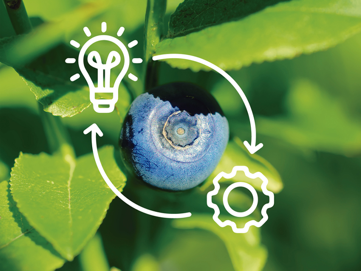 imagen noticia 03-02-26