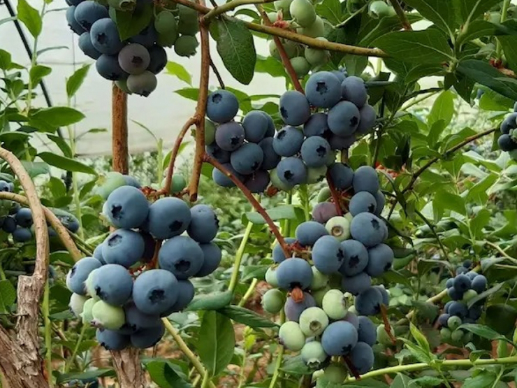 imagen noticia 10-02-26