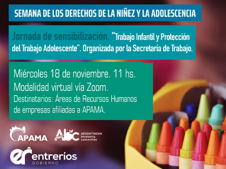 imagen noticia 17-11 Web