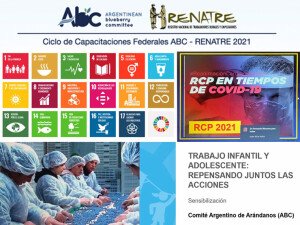imagen noticia Web 06-07