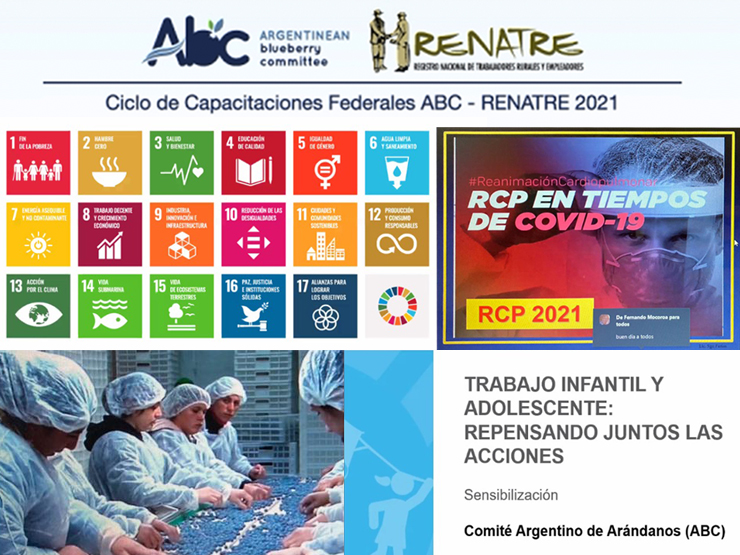 imagen noticia Web 06-07