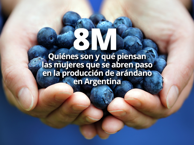 imagen noticia Web 08-03