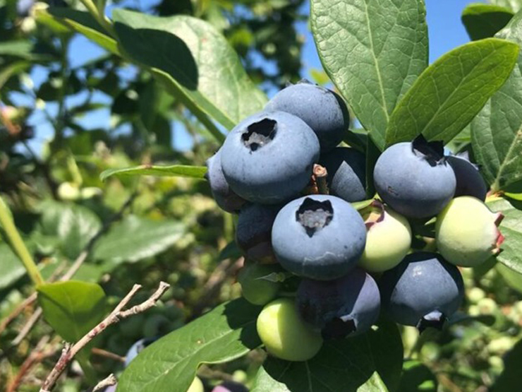 imagen noticia Web 17-04