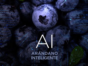 imagen-noticia-Web-19-11