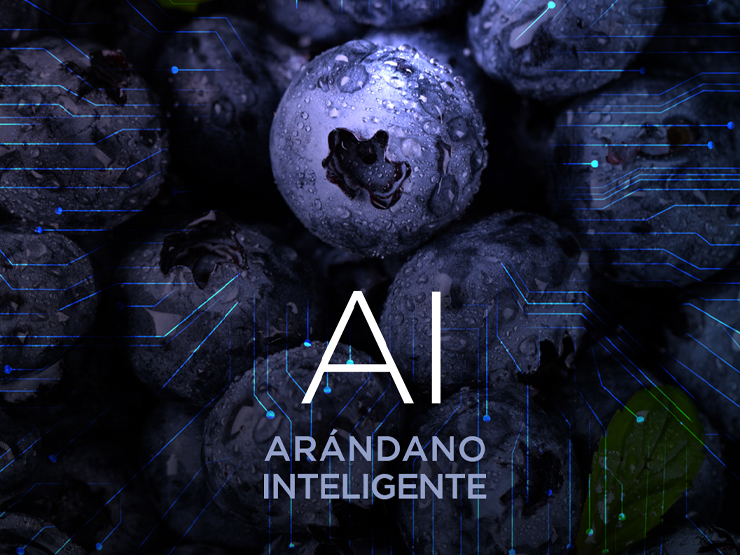 imagen-noticia-Web-19-11