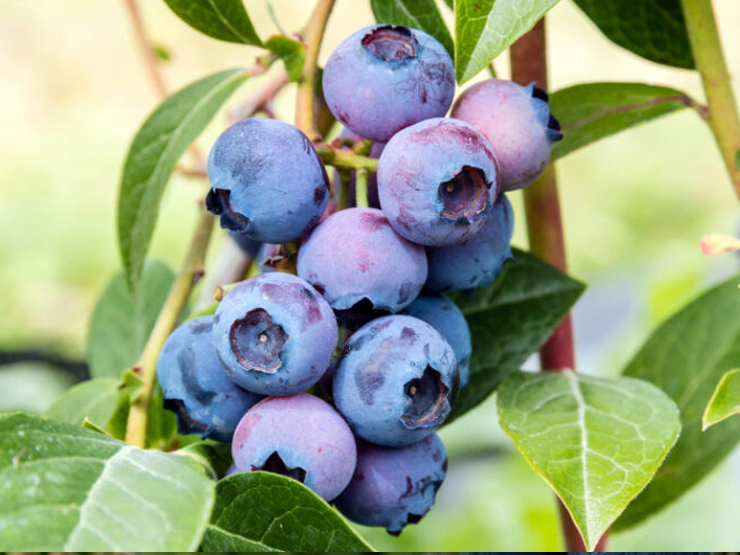 imagen noticia Web 23-10