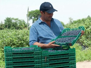 imagen-noticia-Web-25-08-25