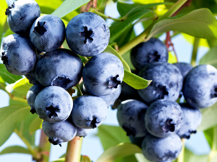 imagen noticia Web 27-05