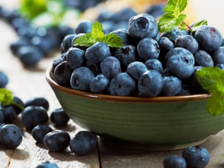 imagen noticia Web 28-11