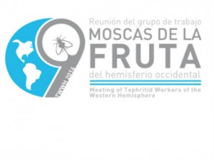 mosca2