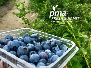 noti-pma