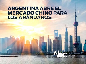 noti44