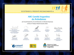 noticia Web 31-12