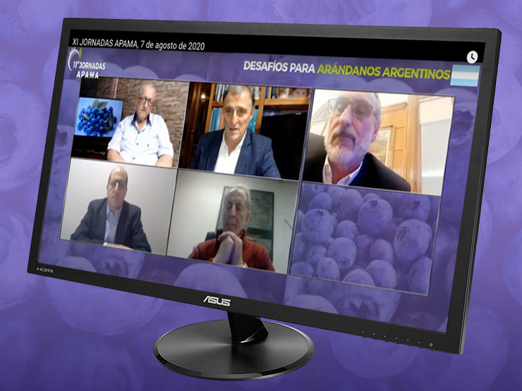 noticia extito apama