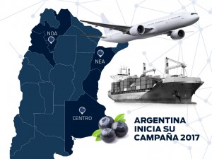 noticia20