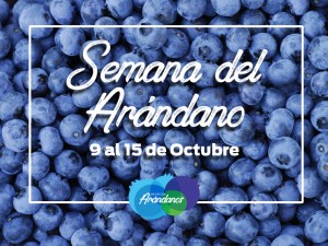 noticia28